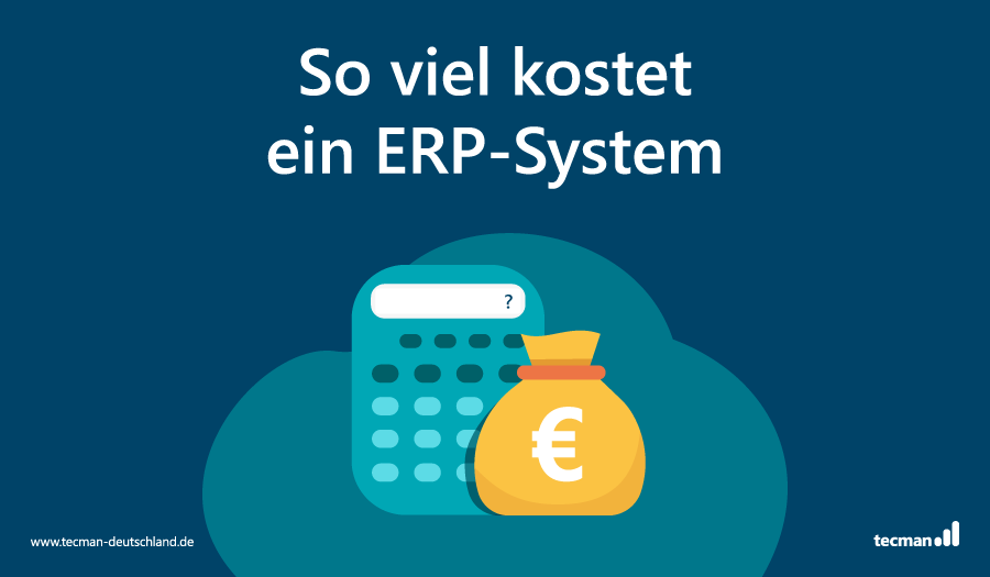 Tecman Blog Thumbnail - Was darf ein ERP-System kosten?